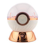 DianSheng Capsule Display Stand