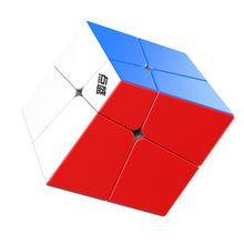 DianSheng Squished 2x2 1