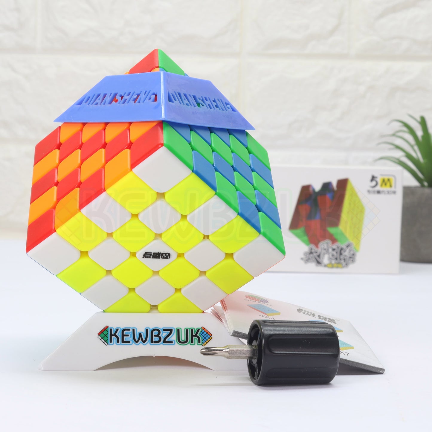 DianSheng 5x5 (Magnétique)