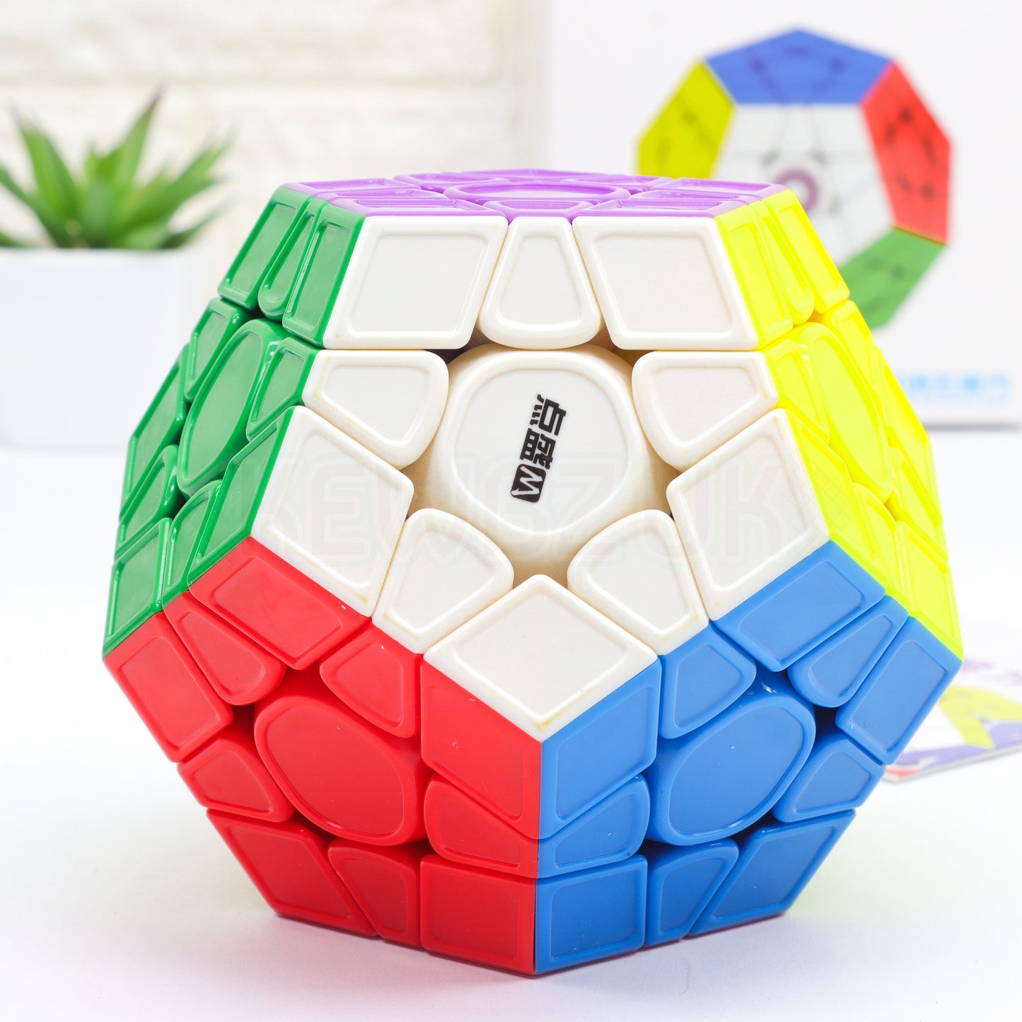 DianSheng Googol Megaminx (Magnétique)