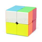 ShengShou Tank 2x2