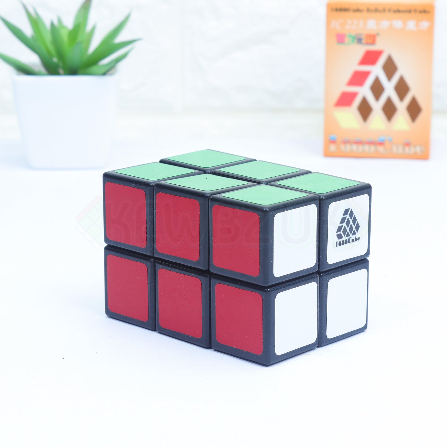 WitEden 2x2x3 (Cuboïde)