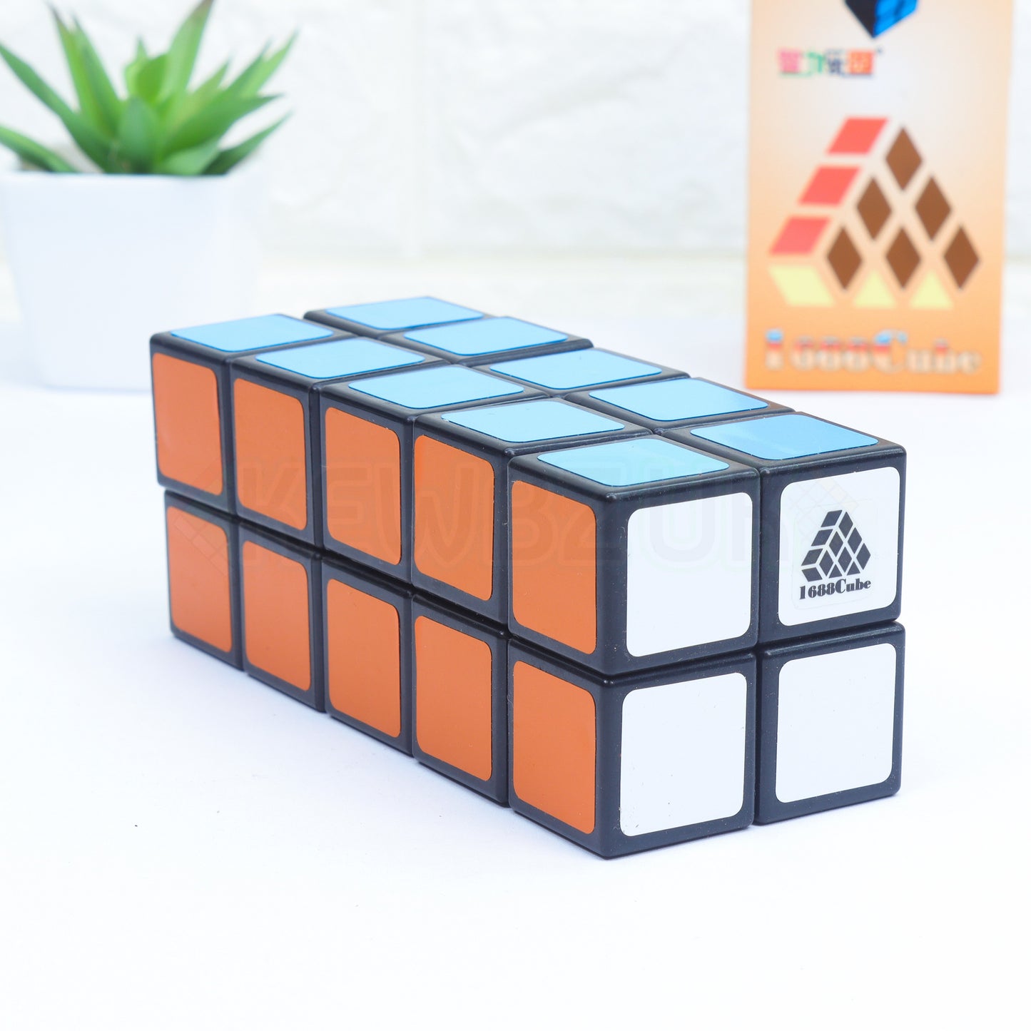 WitEden 2x2x5 (Pavage)