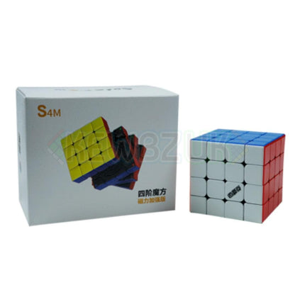 DianSheng S4 (Magnétique)