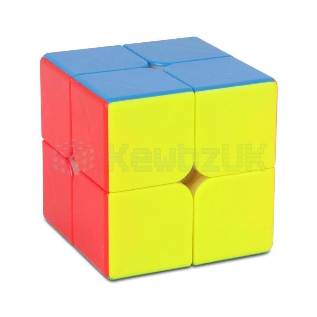 DianSheng 2x2 Magnetic