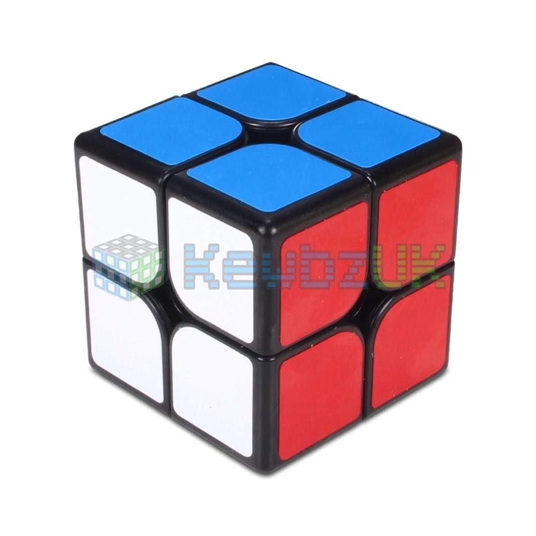 ShengShou Mr. M 2x2 (Magnétique)