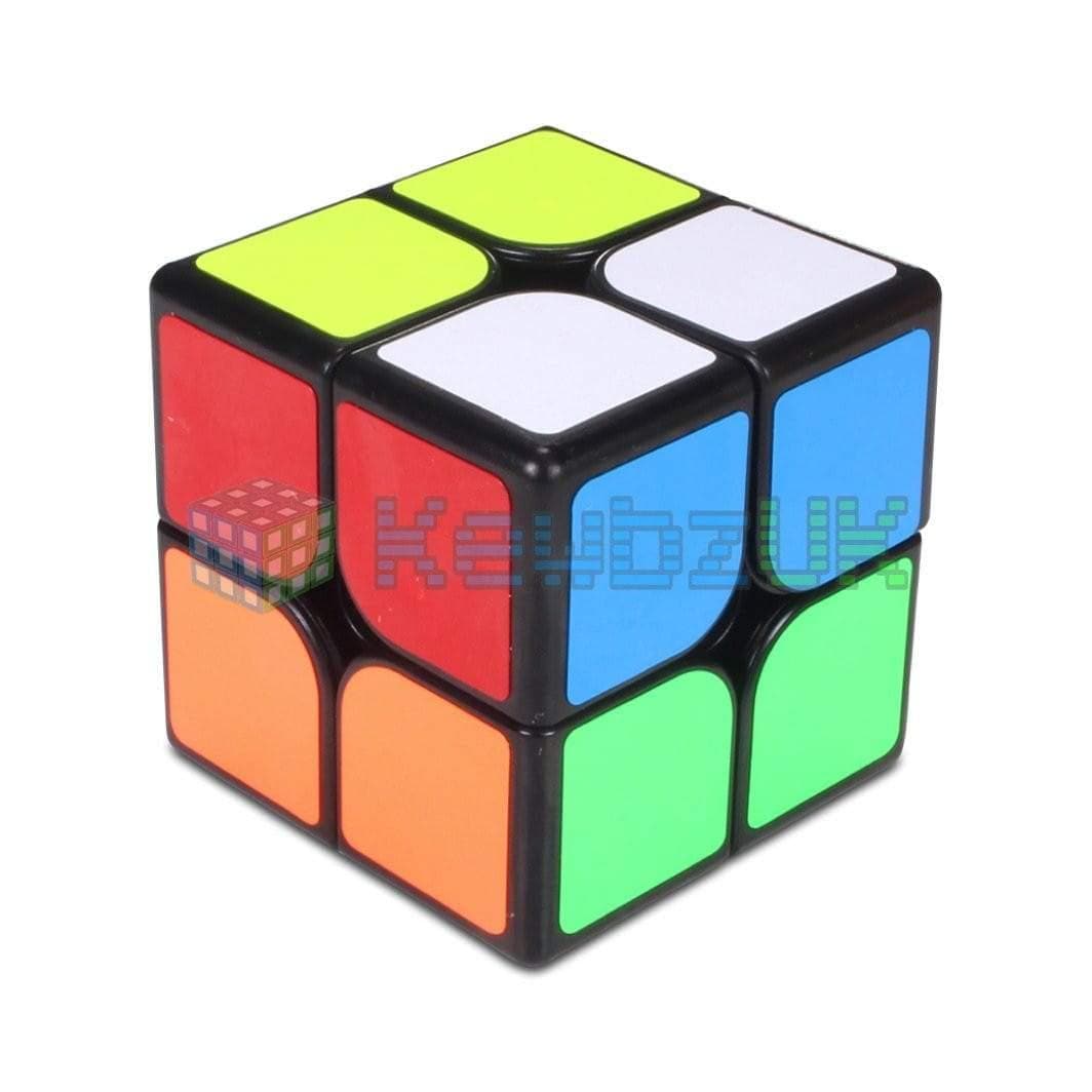 ShengShou Mr. M 2x2 (Magnétique)